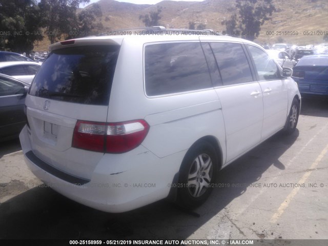 5FNRL38726B070692 - 2006 HONDA ODYSSEY EXL WHITE photo 4