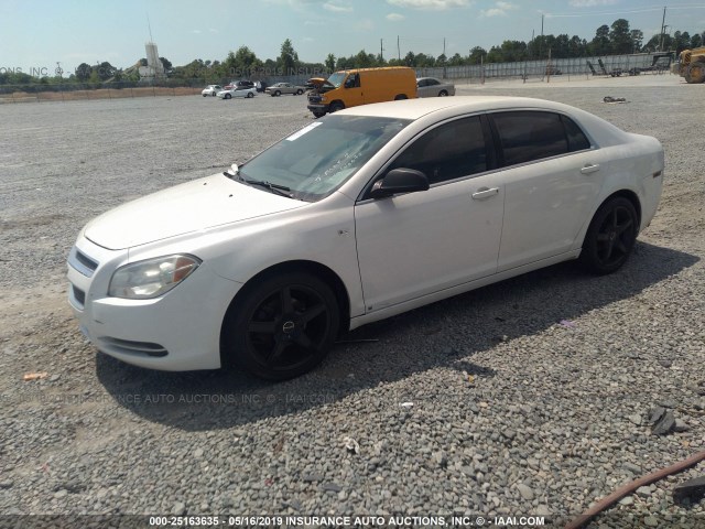 1G1ZG57B58F205919 - 2008 CHEVROLET MALIBU LS WHITE photo 2
