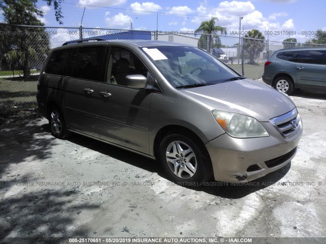 5FNRL38735B101429 - 2005 HONDA ODYSSEY EXL GOLD photo 1