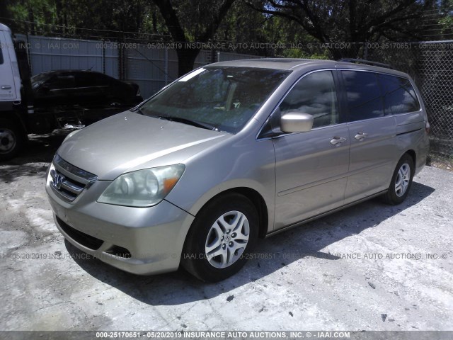 5FNRL38735B101429 - 2005 HONDA ODYSSEY EXL GOLD photo 2