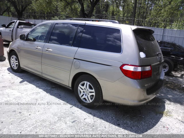 5FNRL38735B101429 - 2005 HONDA ODYSSEY EXL GOLD photo 3