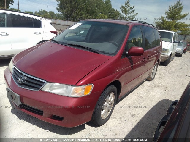 5FNRL18933B057595 - 2003 HONDA ODYSSEY EXL RED photo 2