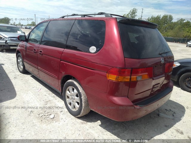 5FNRL18933B057595 - 2003 HONDA ODYSSEY EXL RED photo 3