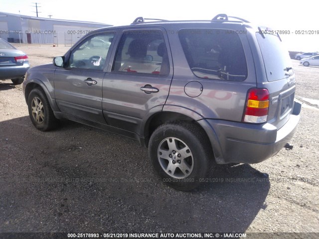 1FMCU941X4KA54923 - 2004 FORD ESCAPE LIMITED GRAY photo 3