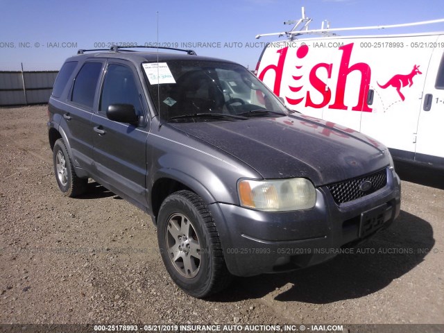 1FMCU941X4KA54923 - 2004 FORD ESCAPE LIMITED GRAY photo 6