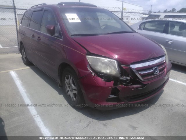 5FNRL38636B415669 - 2006 HONDA ODYSSEY EXL RED photo 1