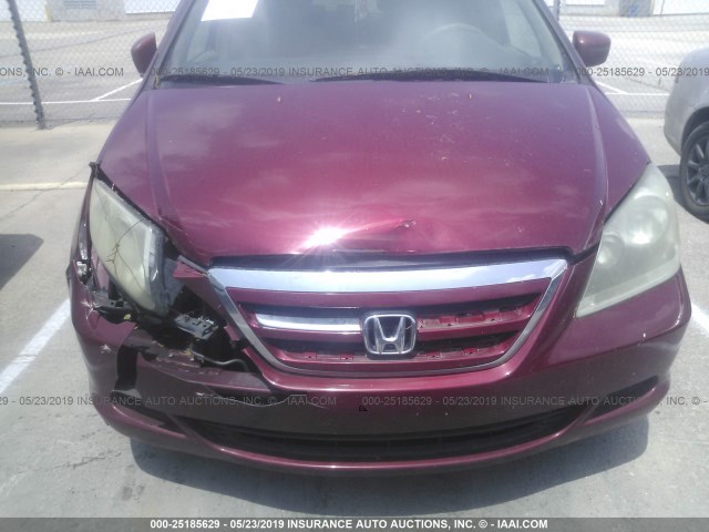 5FNRL38636B415669 - 2006 HONDA ODYSSEY EXL RED photo 6