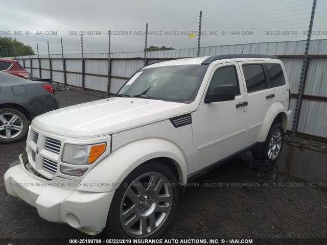 1D4PU4GK7AW174750 - 2010 DODGE NITRO HEAT WHITE photo 2