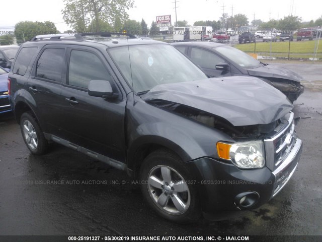 1FMCU94G49KB64667 - 2009 FORD ESCAPE LIMITED GRAY photo 1