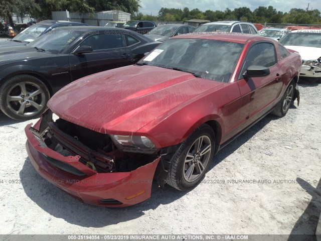 1ZVBP8AN1A5169913 - 2010 FORD MUSTANG RED photo 2