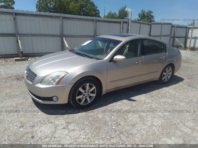 1N4BA41E16C816655 - 2006 NISSAN MAXIMA SE/SL BEIGE photo 2