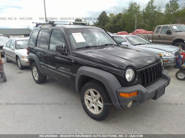 1J8GL48K93W612405 - 2003 JEEP LIBERTY SPORT/FREEDOM BLACK photo 1