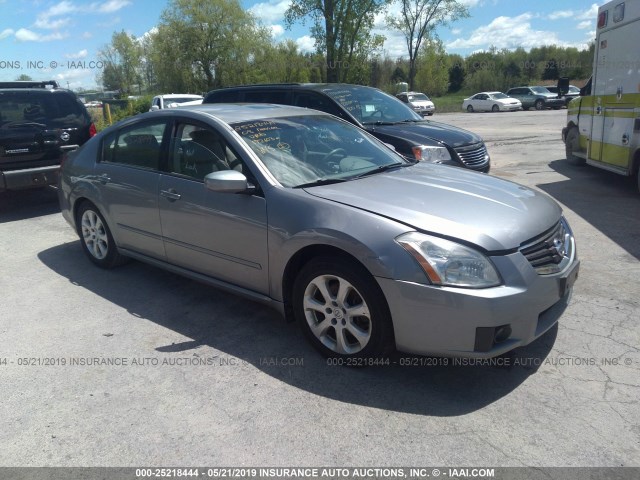 1N4BA41E08C803804 - 2008 NISSAN MAXIMA SE/SL GRAY photo 1