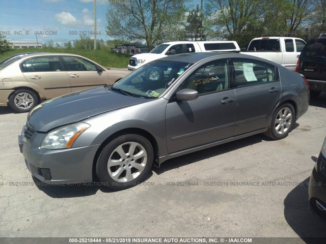 1N4BA41E08C803804 - 2008 NISSAN MAXIMA SE/SL GRAY photo 2