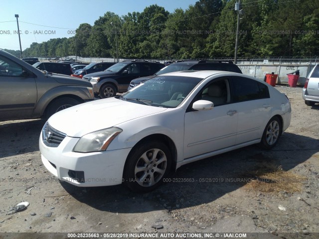 1N4BA41E27C800868 - 2007 NISSAN MAXIMA SE/SL WHITE photo 2