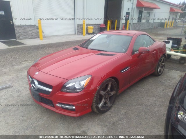 WDDPK4HA3CF038035 - 2012 MERCEDES-BENZ SLK 250 RED photo 2