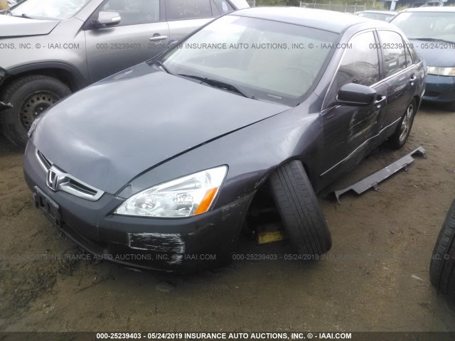 JHMCN36465C003290 - 2005 HONDA ACCORD HYBRID GRAY photo 2