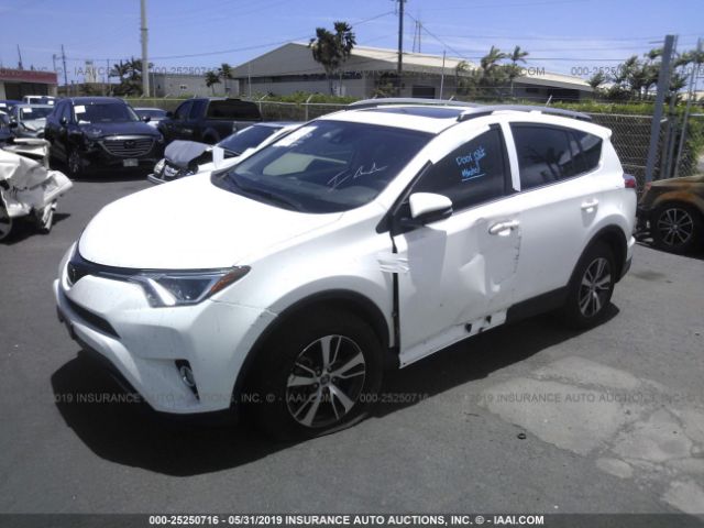 JTMWFREV0JJ751824 - 2018 TOYOTA RAV4 ADVENTURE/XLE White photo 2