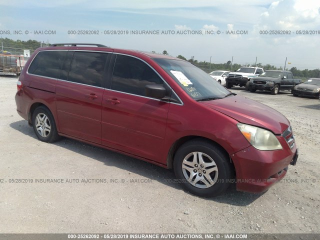 5FNRL38625B070200 - 2005 HONDA ODYSSEY EXL MAROON photo 1