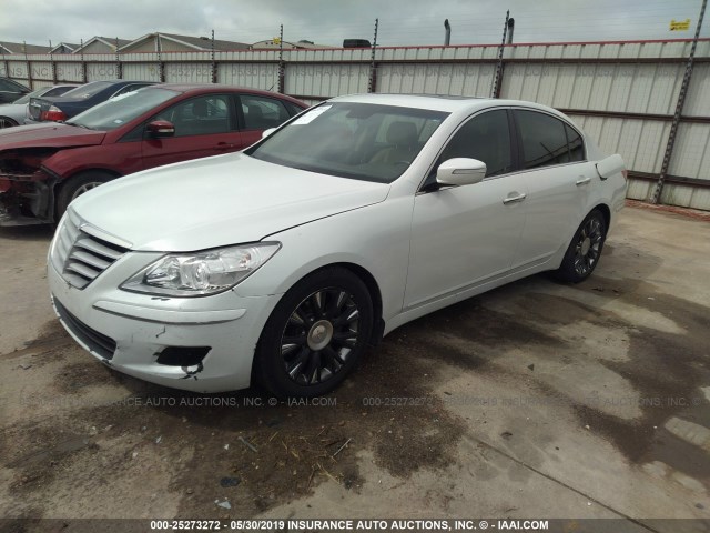 KMHGC46E99U038926 - 2009 HYUNDAI GENESIS 3.8L WHITE photo 2