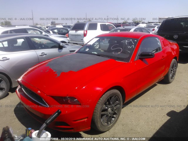 1ZVBP8AM7E5316619 - 2014 FORD MUSTANG RED photo 2