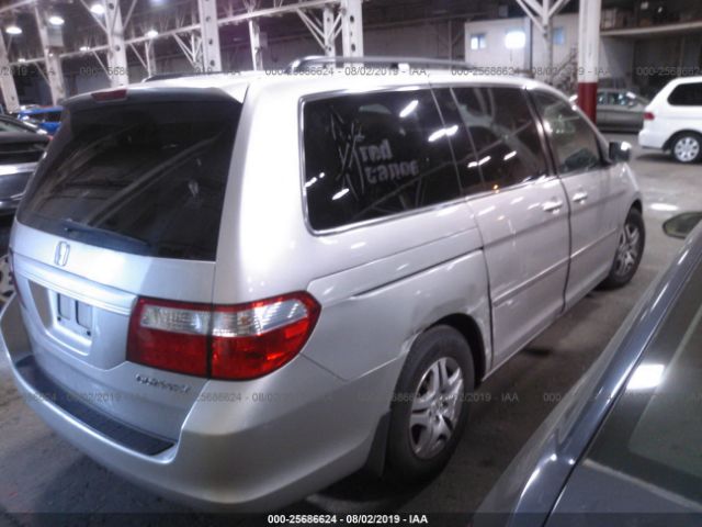 5FNRL38405B000905 - 2005 HONDA ODYSSEY EX Silver photo 4