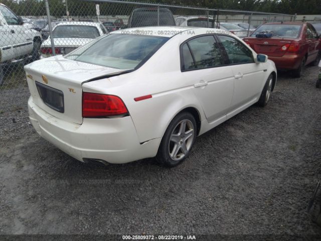 19UUA66246A014000 - 2006 ACURA 3.2TL  White photo 4