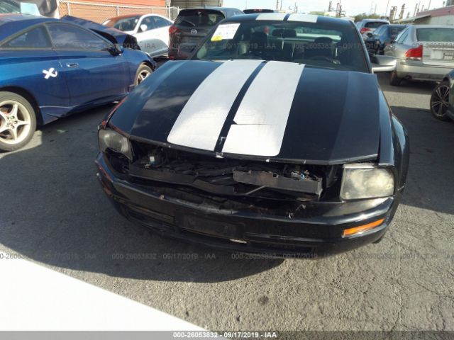 1ZVFT80N265261070 - 2006 FORD MUSTANG  Black photo 6