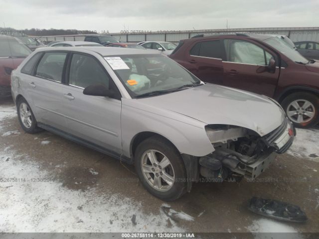 1G1ZT62834F241633 - 2004 CHEVROLET MALIBU MAXX LS Gray photo 1