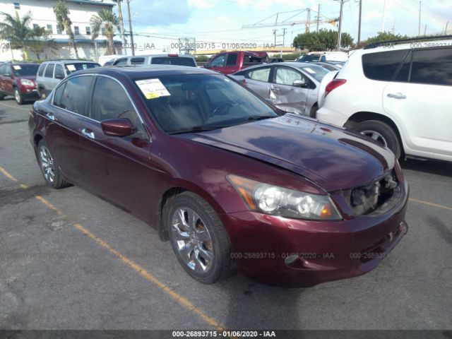 1HGCP36858A057910 - 2008 HONDA ACCORD EXL Maroon photo 1