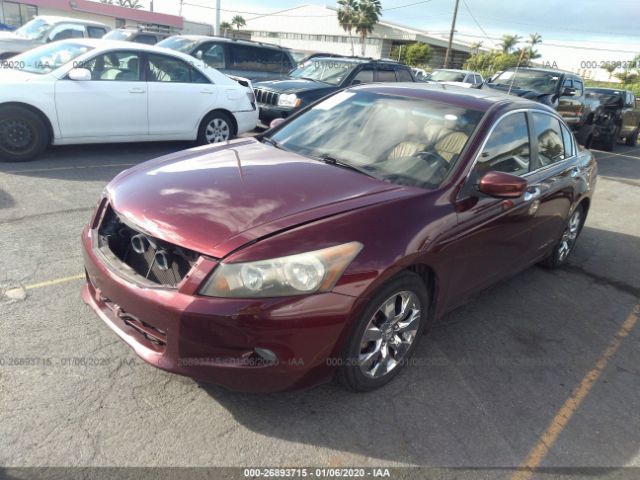 1HGCP36858A057910 - 2008 HONDA ACCORD EXL Maroon photo 2