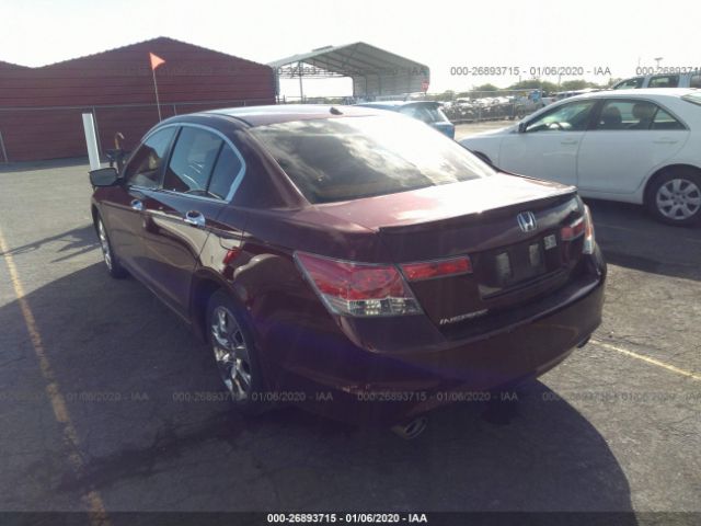 1HGCP36858A057910 - 2008 HONDA ACCORD EXL Maroon photo 3