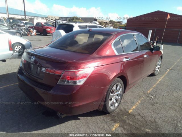 1HGCP36858A057910 - 2008 HONDA ACCORD EXL Maroon photo 4