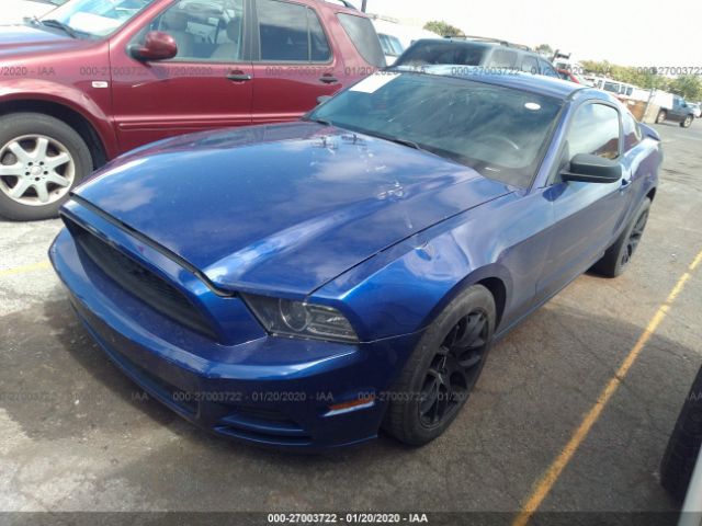 1ZVBP8AM6E5277666 - 2014 FORD MUSTANG  Blue photo 2