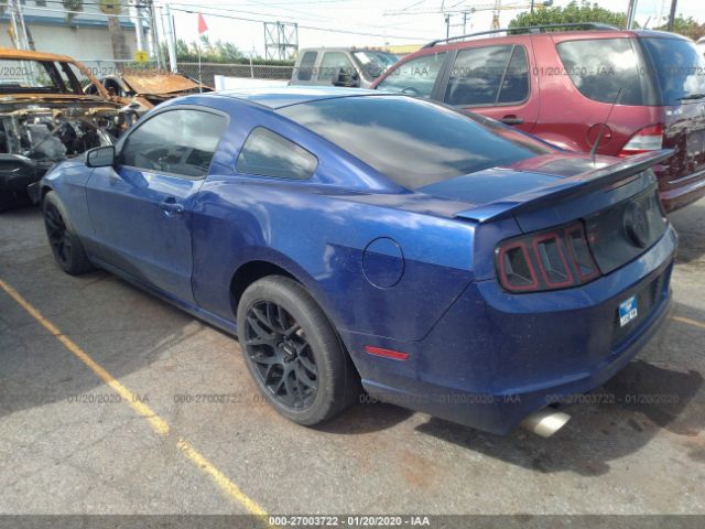 1ZVBP8AM6E5277666 - 2014 FORD MUSTANG  Blue photo 3