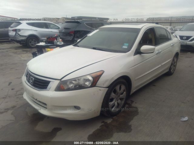 1HGCP36899A004094 - 2009 HONDA ACCORD EXL White photo 2