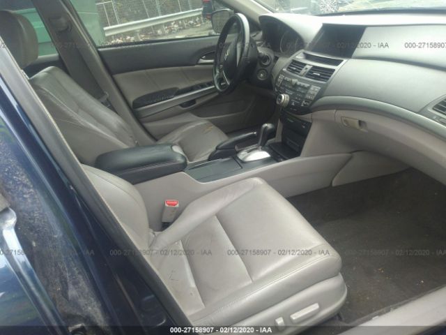 1HGCP36829A022002 - 2009 HONDA ACCORD EXL Blue photo 5