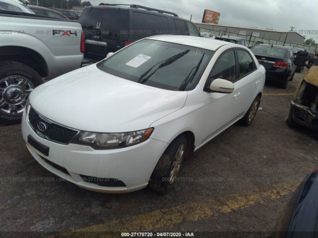 KNAFU4A24D5671554 - 2013 KIA FORTE EX White photo 2