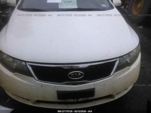 KNAFU4A24D5671554 - 2013 KIA FORTE EX White photo 6