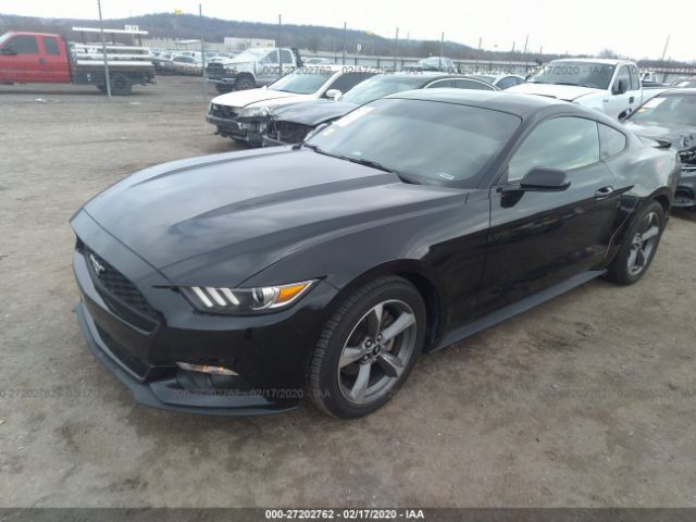 1FA6P8AM3F5427244 - 2015 FORD MUSTANG  Black photo 2