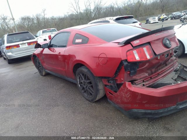 1ZVBP8AM8C5280534 - 2012 FORD MUSTANG  Maroon photo 3