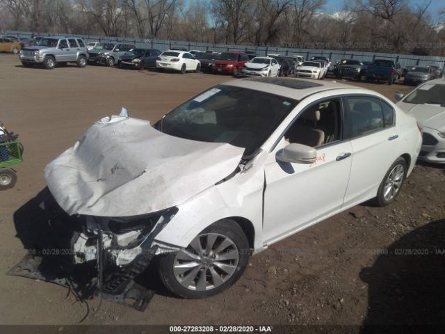 1HGCR2F89EA077299 - 2014 HONDA ACCORD EXL White photo 2