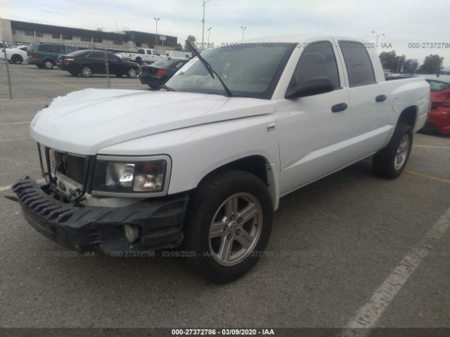 1D7RE3GP4BS714076 - 2011 DODGE DAKOTA SLT White photo 2