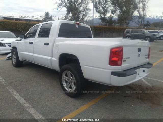 1D7RE3GP4BS714076 - 2011 DODGE DAKOTA SLT White photo 3