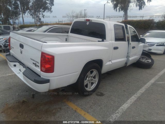 1D7RE3GP4BS714076 - 2011 DODGE DAKOTA SLT White photo 4