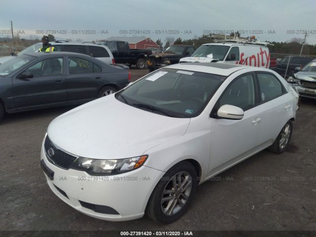 KNAFU4A20C5480096 - 2012 KIA FORTE EX White photo 2