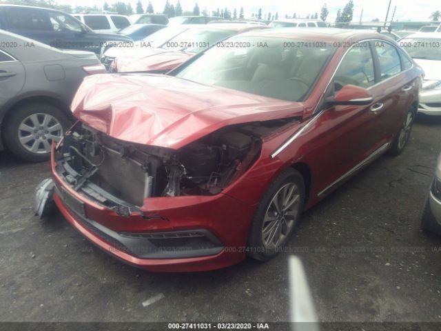 5NPE34AF9GH415449 - 2016 HYUNDAI SONATA SPORT/LIMITED Red photo 2