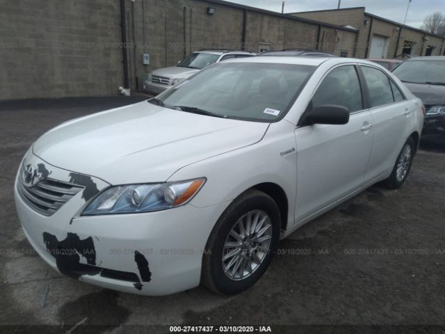 4T1BB46K57U025767 - 2007 TOYOTA CAMRY HYBRID White photo 2