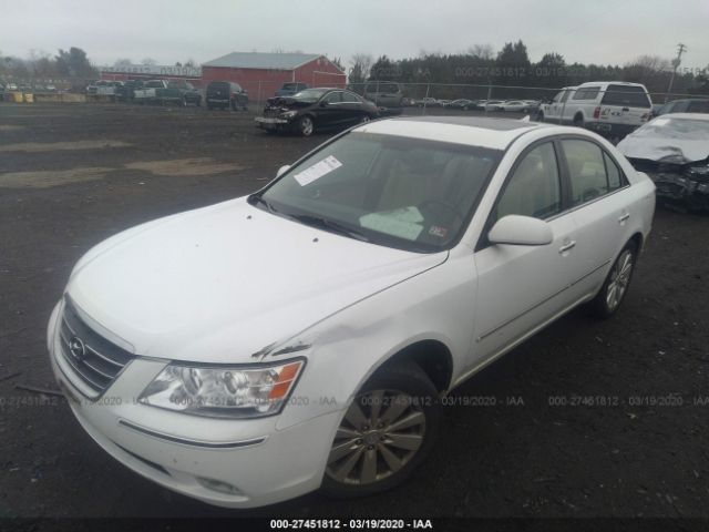 5NPEU46C69H466678 - 2009 HYUNDAI SONATA SE/LIMITED White photo 2