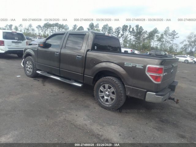 1FTRW128X9FA90041 - 2009 FORD F150 SUPERCREW Dark Brown photo 3